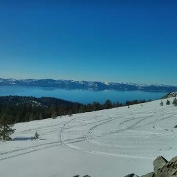 Meet your Posher, Steve - Picture 1 of 1